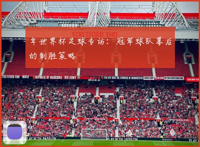 年世界杯足球专访:冠军球队幕后的制胜策略