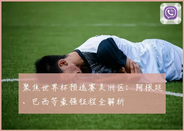 聚焦世界杯预选赛美洲区：阿根廷、巴西等豪强征程全解析