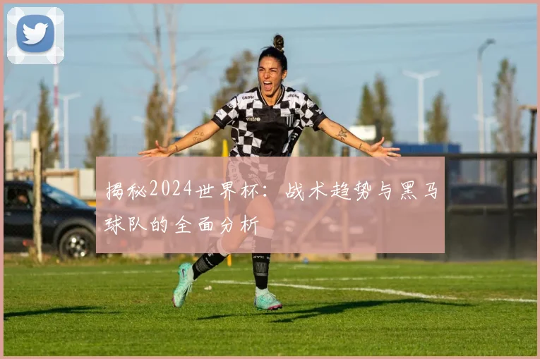 揭秘2024世界杯：战术趋势与黑马球队的全面分析
