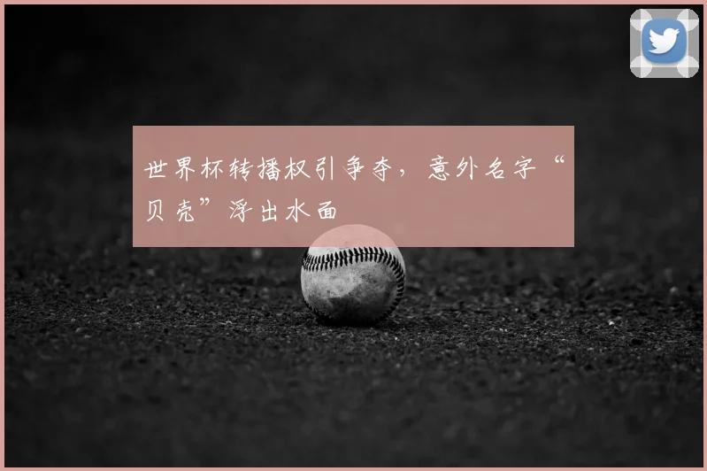 世界杯转播权引争夺,意外名字“贝壳”浮出水面