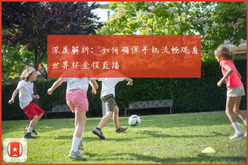 深度解析：如何确保手机流畅观看世界杯全程直播