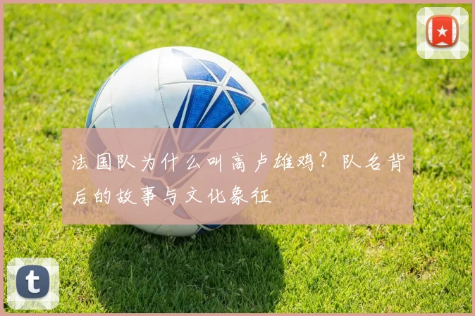 法国队为什么叫高卢雄鸡？队名背后的故事与文化象征