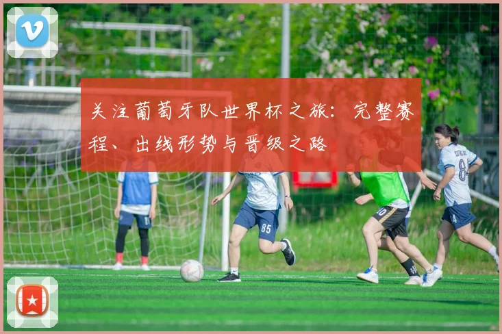 关注葡萄牙队世界杯之旅：完整赛程、出线形势与晋级之路