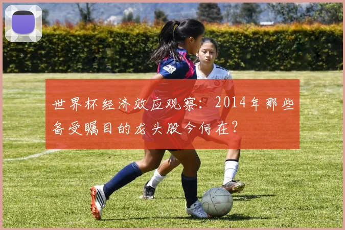 世界杯经济效应观察：2014年那些备受瞩目的龙头股今何在？