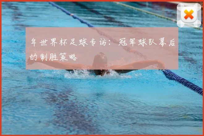 年世界杯足球专访:冠军球队幕后的制胜策略