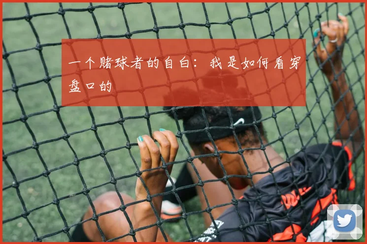 一个赌球者的自白：我是如何看穿盘口的