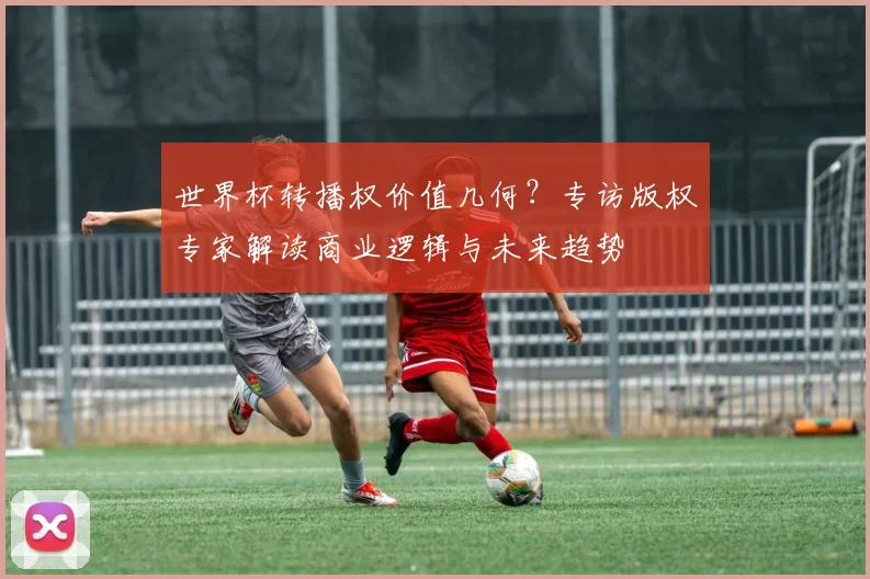 世界杯转播权价值几何?专访版权专家解读商业逻辑与未来趋势