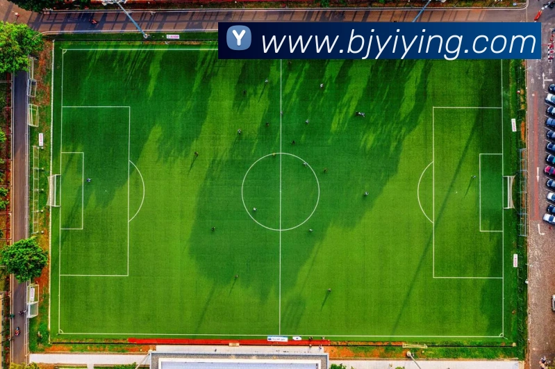 数据防护可视化